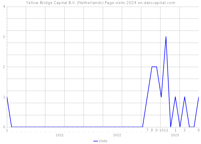 Yellow Bridge Capital B.V. (Netherlands) Page visits 2024 