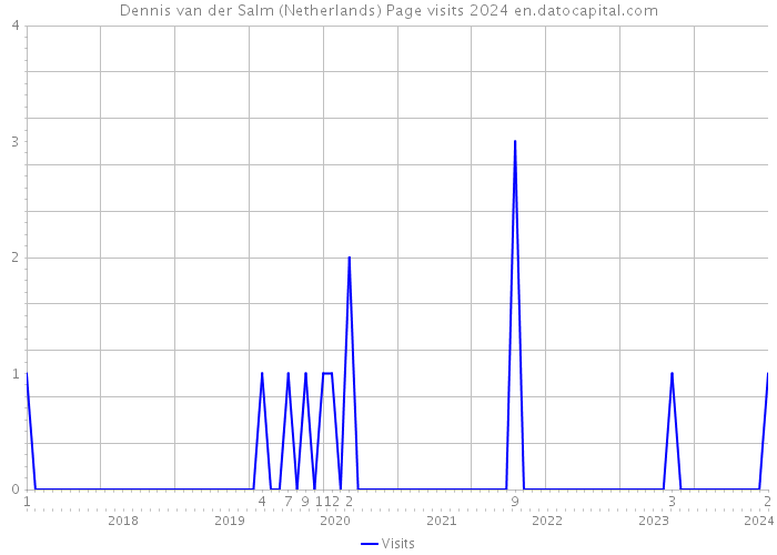 Dennis van der Salm (Netherlands) Page visits 2024 
