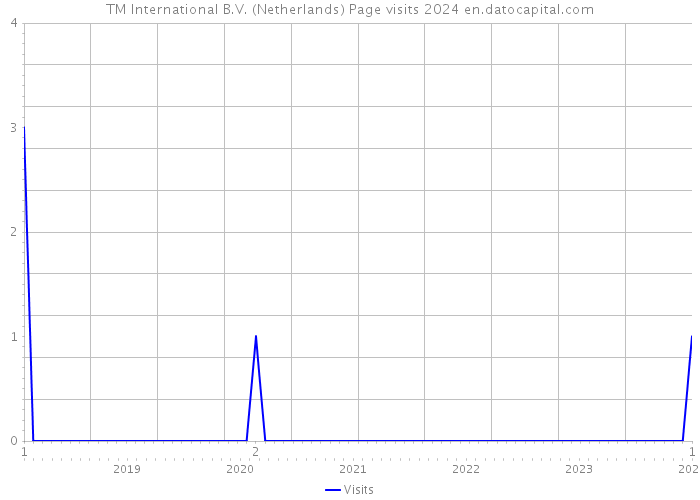 TM International B.V. (Netherlands) Page visits 2024 