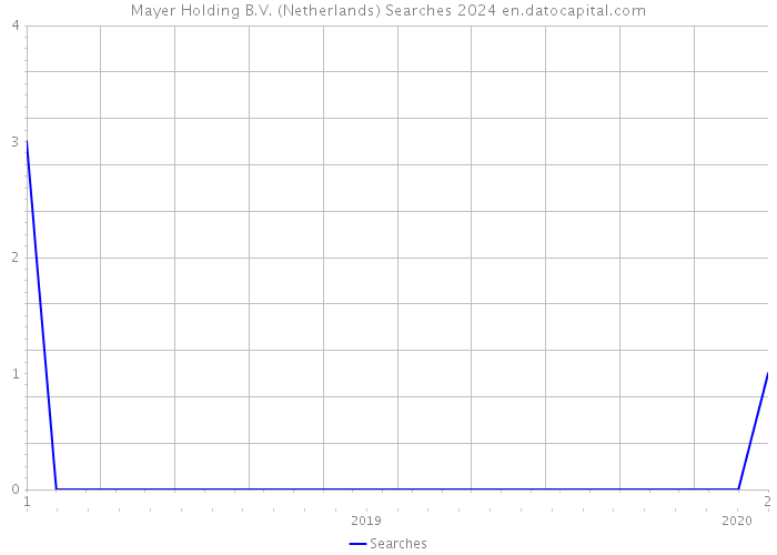 Mayer Holding B.V. (Netherlands) Searches 2024 