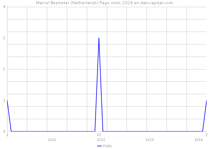 Marcel Beemster (Netherlands) Page visits 2024 