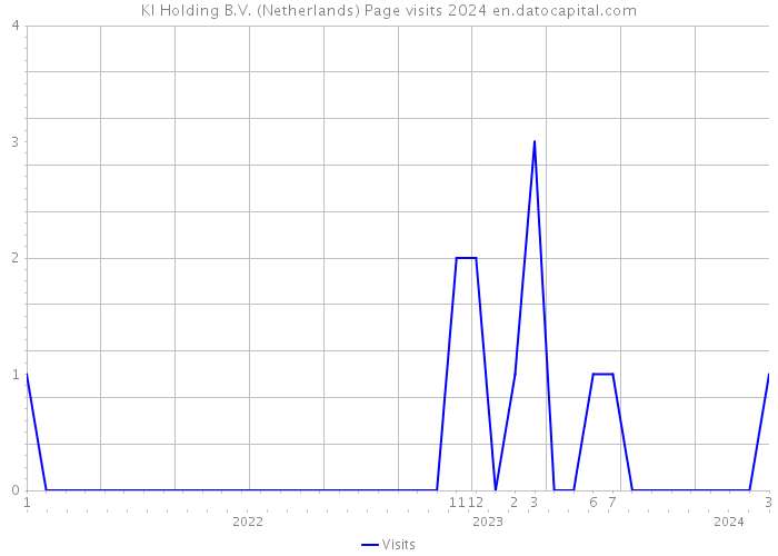 KI Holding B.V. (Netherlands) Page visits 2024 