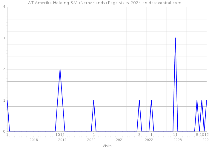 AT Amerika Holding B.V. (Netherlands) Page visits 2024 