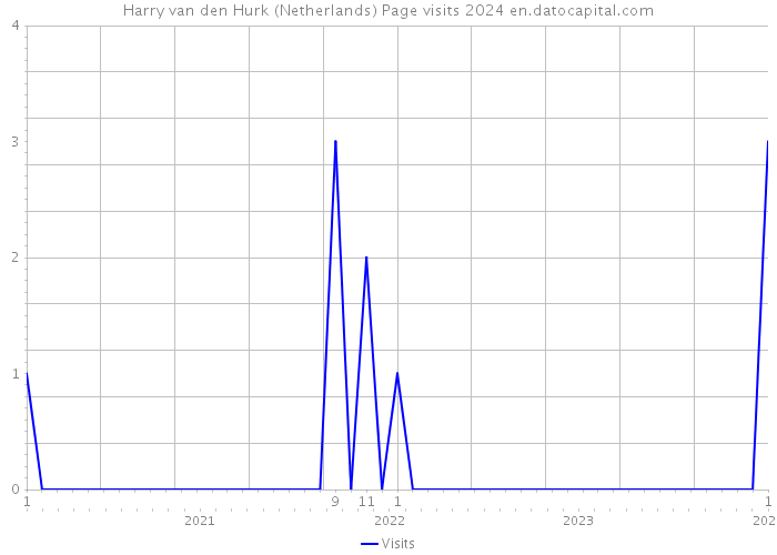 Harry van den Hurk (Netherlands) Page visits 2024 