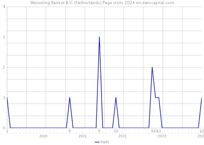 Wesseling Banket B.V. (Netherlands) Page visits 2024 