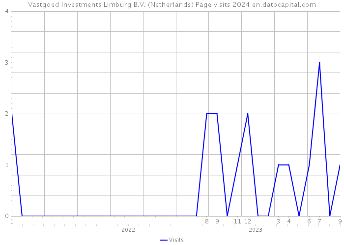 Vastgoed Investments Limburg B.V. (Netherlands) Page visits 2024 