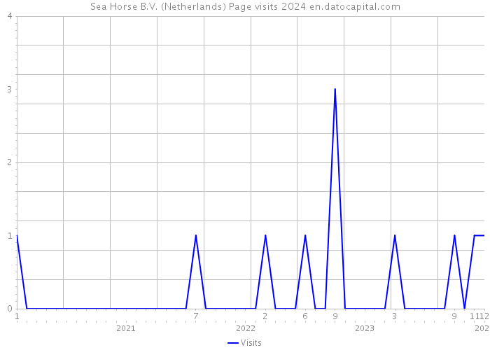 Sea Horse B.V. (Netherlands) Page visits 2024 