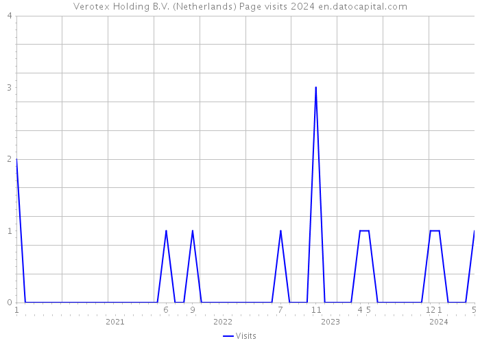 Verotex Holding B.V. (Netherlands) Page visits 2024 