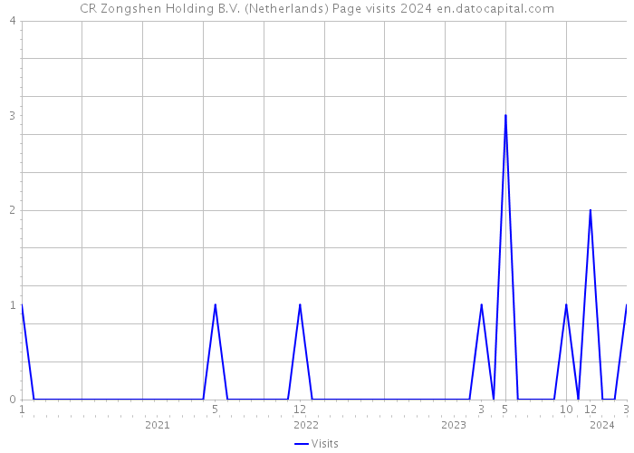 CR Zongshen Holding B.V. (Netherlands) Page visits 2024 