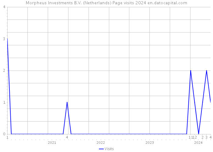 Morpheus Investments B.V. (Netherlands) Page visits 2024 