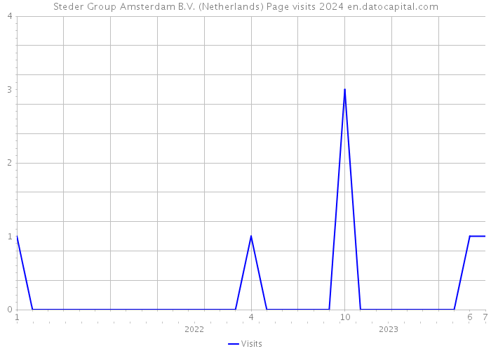 Steder Group Amsterdam B.V. (Netherlands) Page visits 2024 
