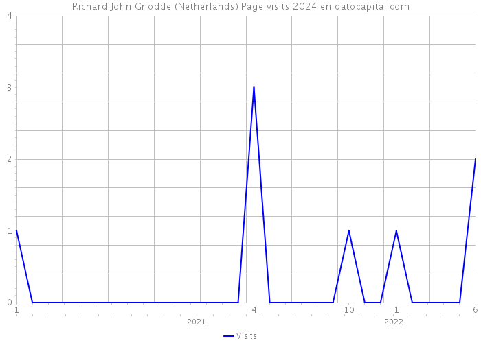Richard John Gnodde (Netherlands) Page visits 2024 