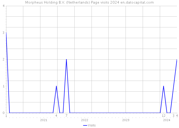 Morpheus Holding B.V. (Netherlands) Page visits 2024 