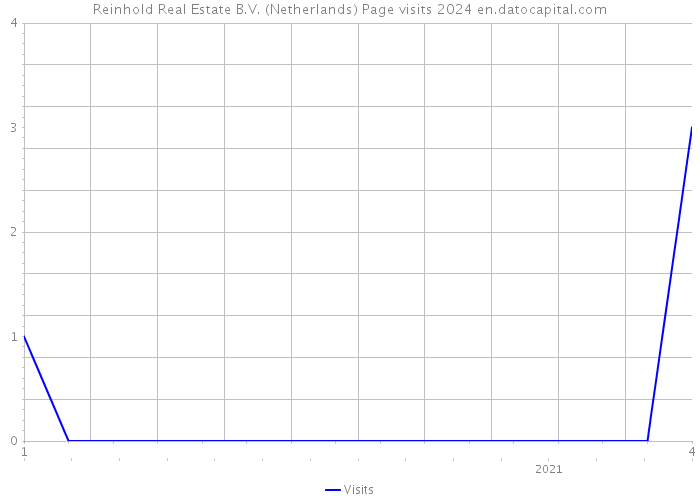 Reinhold Real Estate B.V. (Netherlands) Page visits 2024 