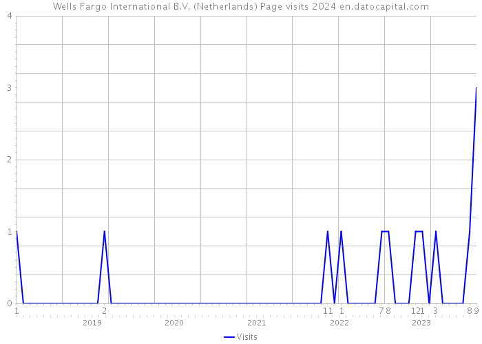 Wells Fargo International B.V. (Netherlands) Page visits 2024 
