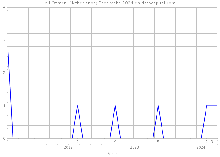 Ali Özmen (Netherlands) Page visits 2024 