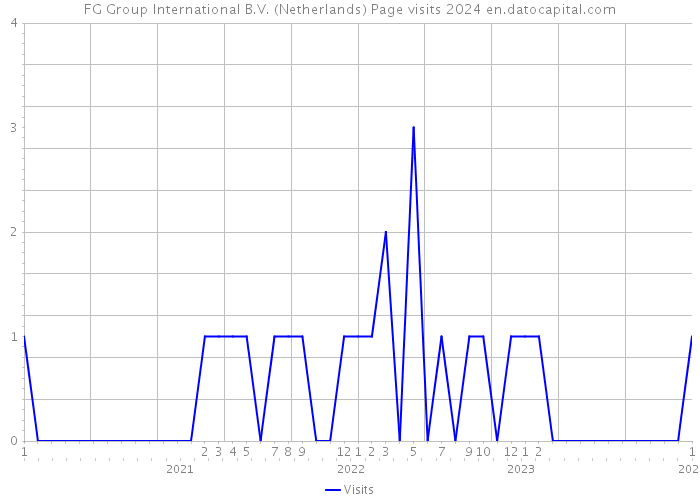 FG Group International B.V. (Netherlands) Page visits 2024 