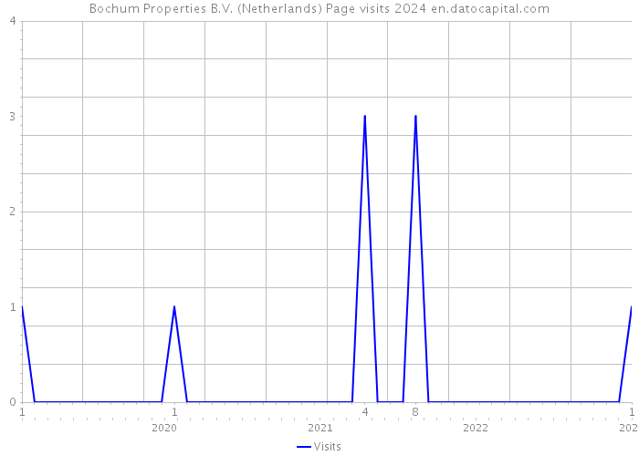 Bochum Properties B.V. (Netherlands) Page visits 2024 