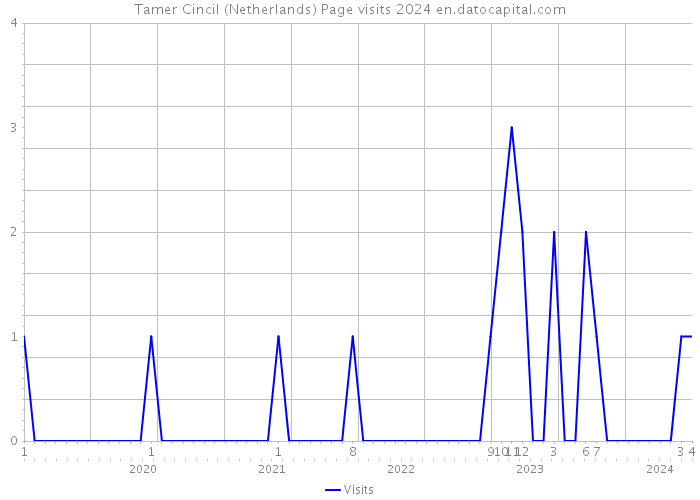 Tamer Cincil (Netherlands) Page visits 2024 