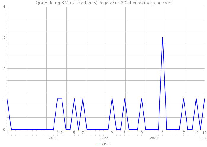 Qra Holding B.V. (Netherlands) Page visits 2024 