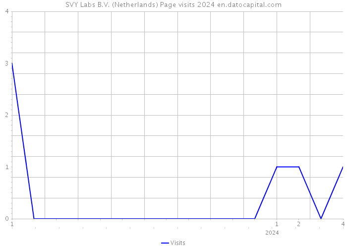 SVY Labs B.V. (Netherlands) Page visits 2024 