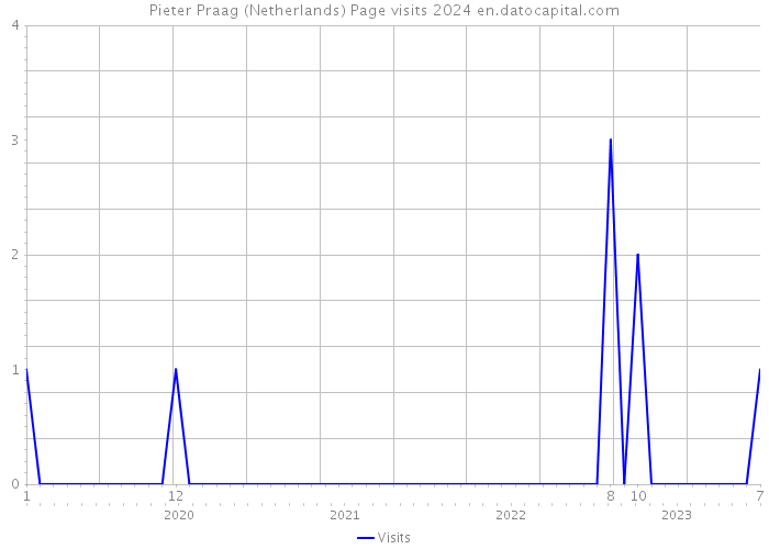 Pieter Praag (Netherlands) Page visits 2024 