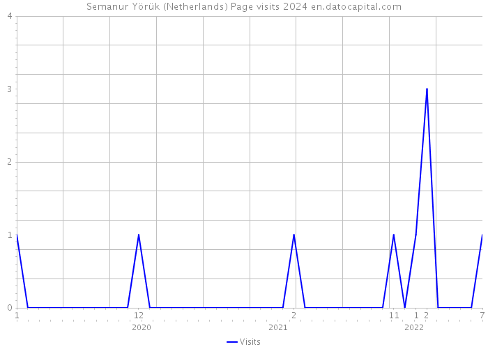 Semanur Yörük (Netherlands) Page visits 2024 