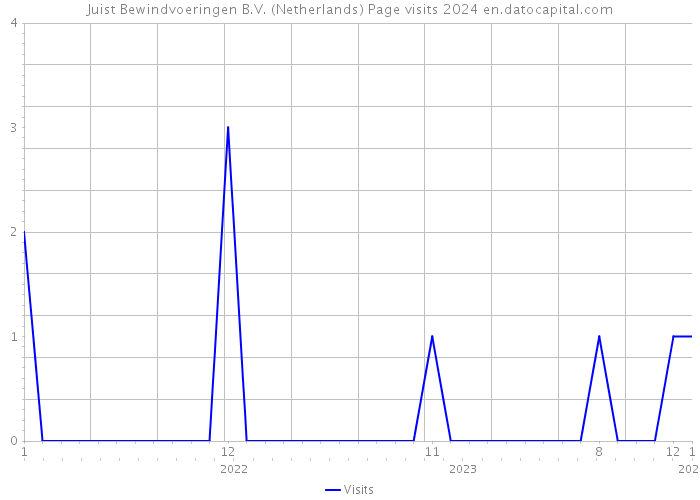 Juist Bewindvoeringen B.V. (Netherlands) Page visits 2024 