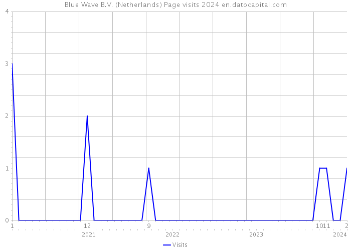 Blue Wave B.V. (Netherlands) Page visits 2024 
