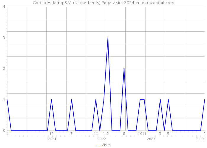 Gorilla Holding B.V. (Netherlands) Page visits 2024 