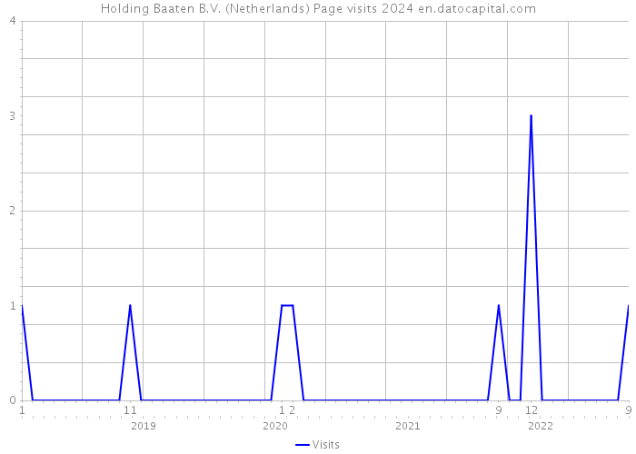 Holding Baaten B.V. (Netherlands) Page visits 2024 