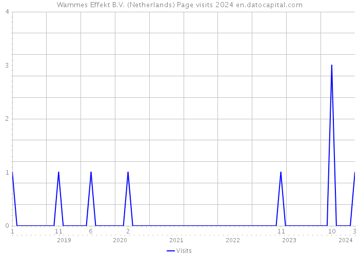 Wammes Effekt B.V. (Netherlands) Page visits 2024 