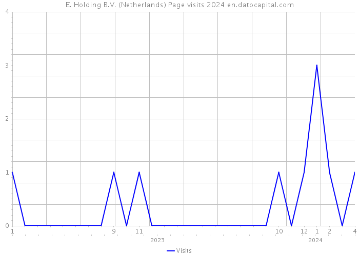 E. Holding B.V. (Netherlands) Page visits 2024 