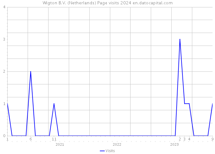 Wigton B.V. (Netherlands) Page visits 2024 