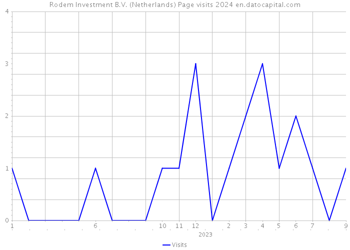 Rodem Investment B.V. (Netherlands) Page visits 2024 