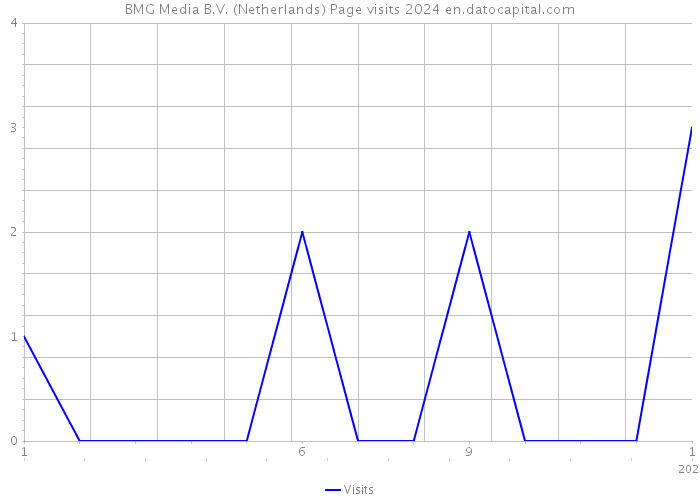 BMG Media B.V. (Netherlands) Page visits 2024 