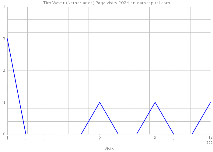 Tim Wever (Netherlands) Page visits 2024 