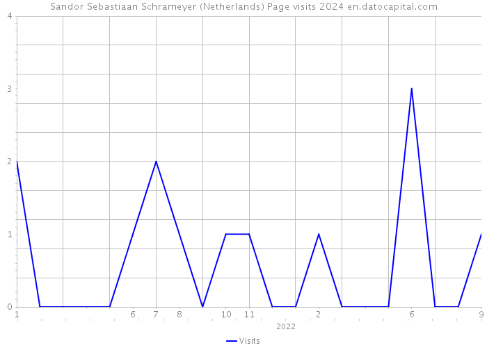 Sandor Sebastiaan Schrameyer (Netherlands) Page visits 2024 
