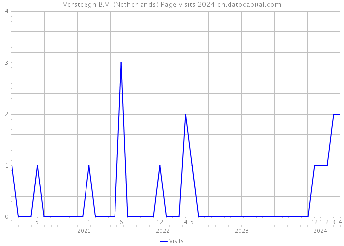Versteegh B.V. (Netherlands) Page visits 2024 
