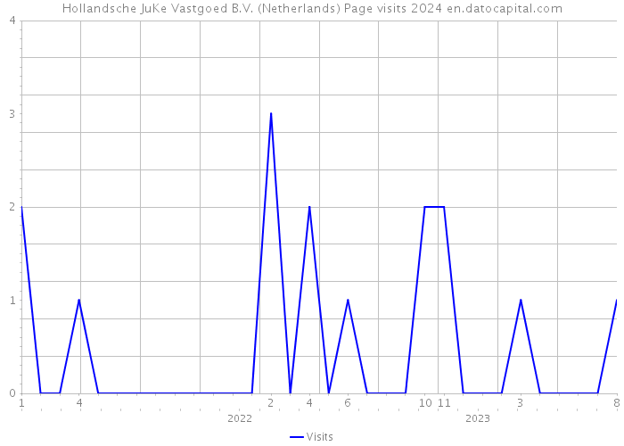 Hollandsche JuKe Vastgoed B.V. (Netherlands) Page visits 2024 