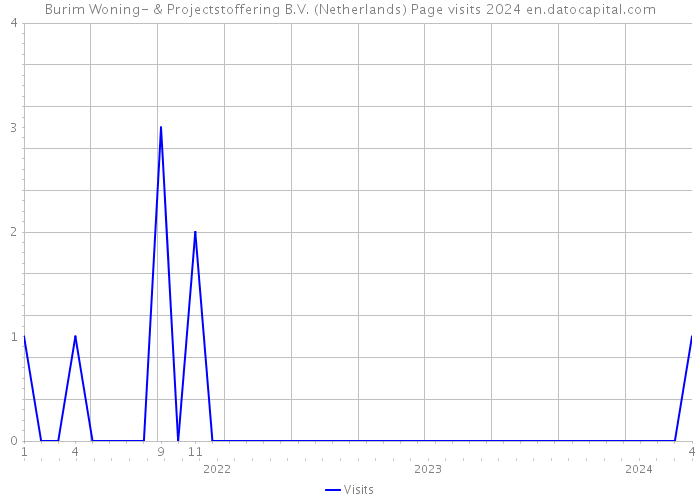 Burim Woning- & Projectstoffering B.V. (Netherlands) Page visits 2024 