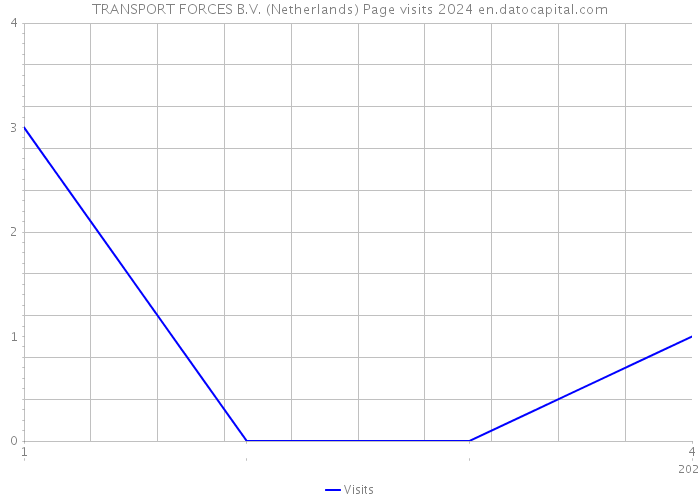 TRANSPORT FORCES B.V. (Netherlands) Page visits 2024 