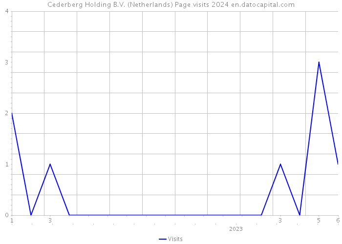 Cederberg Holding B.V. (Netherlands) Page visits 2024 