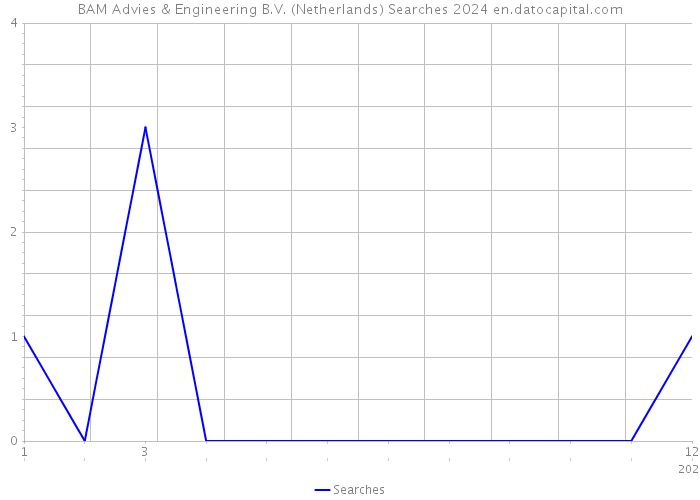 BAM Advies & Engineering B.V. (Netherlands) Searches 2024 