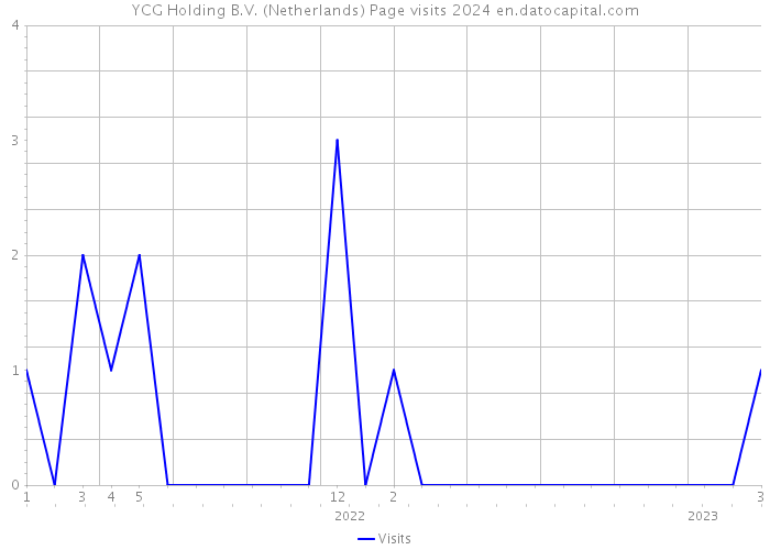 YCG Holding B.V. (Netherlands) Page visits 2024 