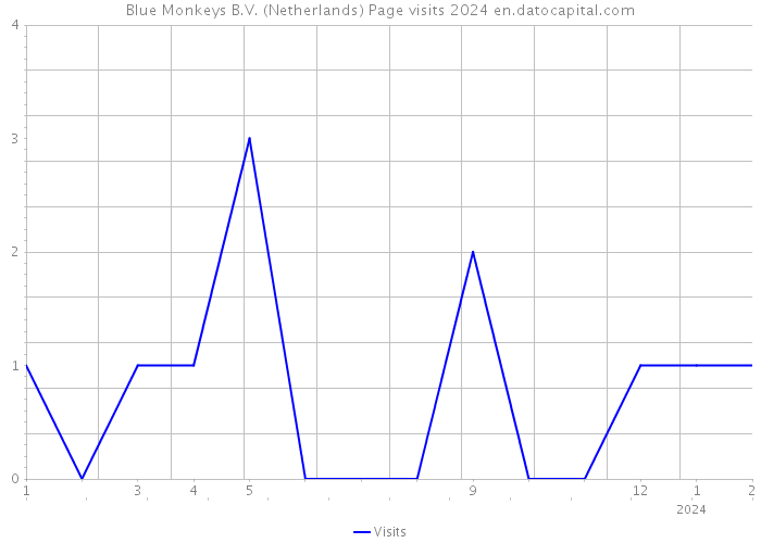 Blue Monkeys B.V. (Netherlands) Page visits 2024 