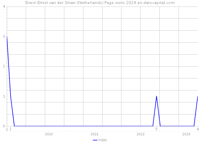 Erwin Emiel van der Sman (Netherlands) Page visits 2024 