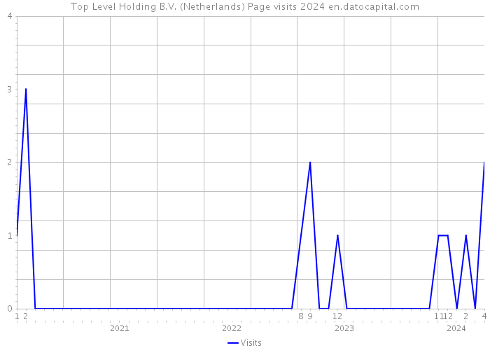 Top Level Holding B.V. (Netherlands) Page visits 2024 