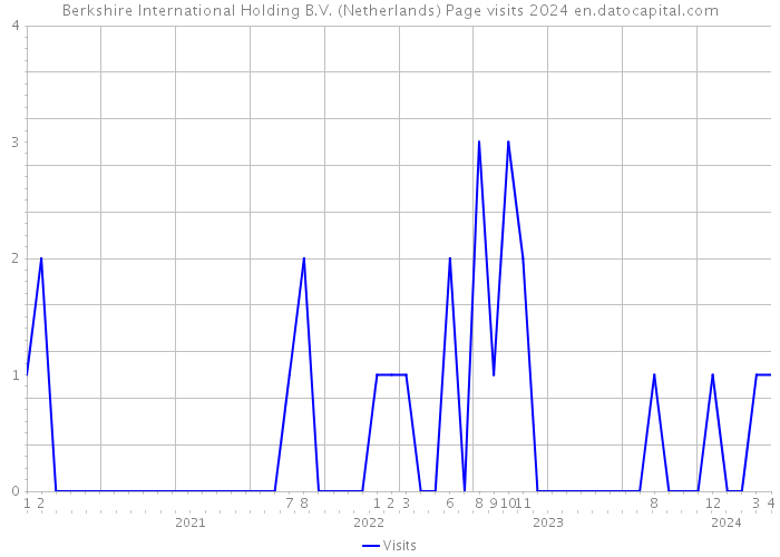 Berkshire International Holding B.V. (Netherlands) Page visits 2024 