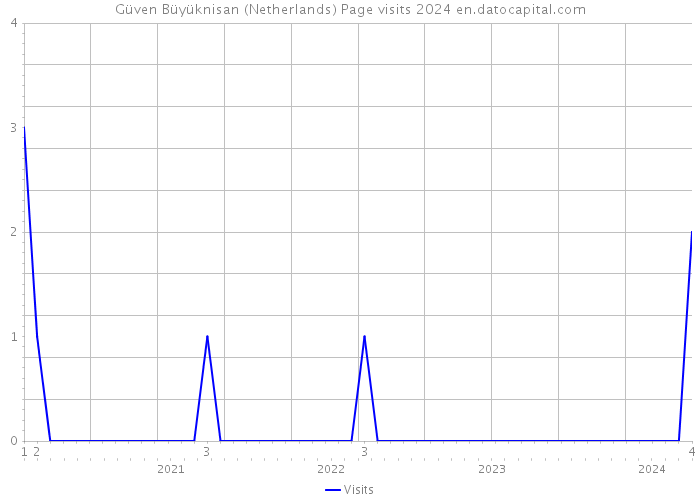 Güven Büyüknisan (Netherlands) Page visits 2024 